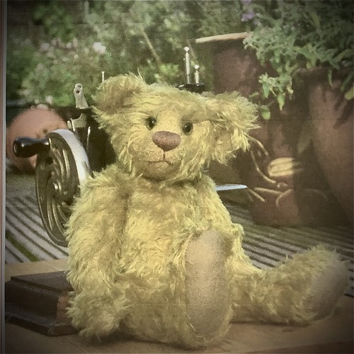 Teddy bear sewing - sewing, pattern