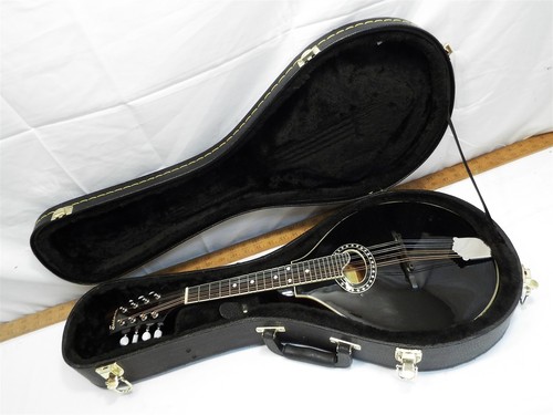 Vintage eastman guitar - vintage, co