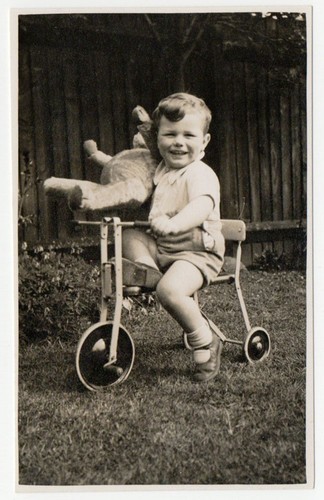 Social history boy - boy, teddy