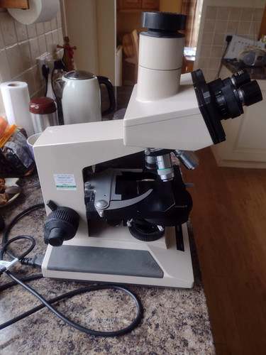 Olympus bh2 binocular - bh2,