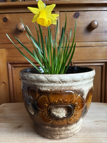 Vintage midcentury floral - , west