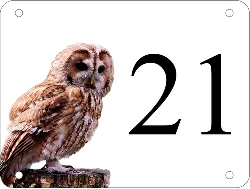 Personalised aluminium owl - personalised,
