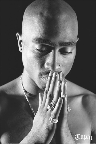 Laminated tupac maxi - laminated,