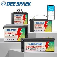 12V/24V 36/48V 100Ah 200Ah