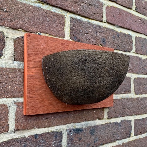 Swallow nest box half cup - nest,