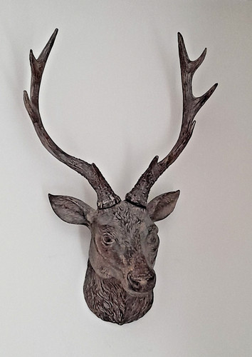 Stag head resin brown - resin, wall