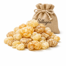 Authentic omani luban - authentic,