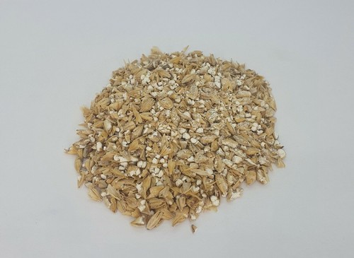 Malted barley grain high - malted,