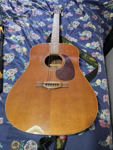 Farida acoustic guitar - farida,