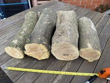 4no 12.5 English Boxwood