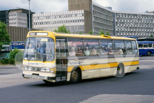 Coach photo northern - coach,