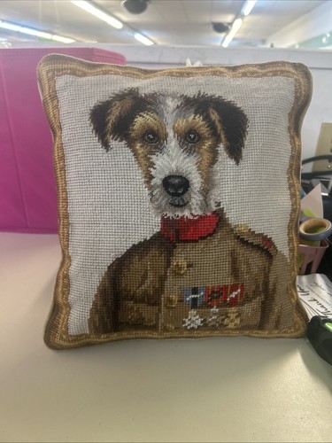 Jack russell terrier dog cross - jack,