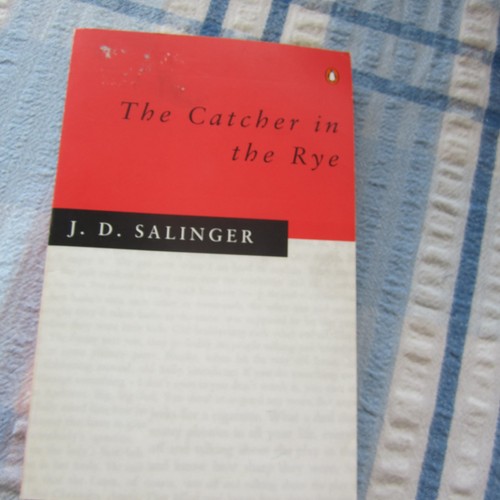 Catcher the rye - catcher, in