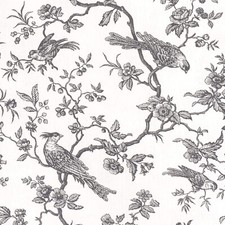 Isabelle Bird Toile Mini Charcoal Cotton Fabric 280cm French Curtain Upholstery