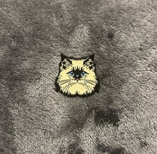 Ragdoll Himalayan White Cat