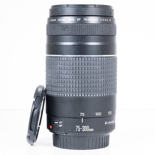 Canon 300mm 5 - 75-300mm, iii