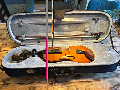 Stentor viola with - 13”,