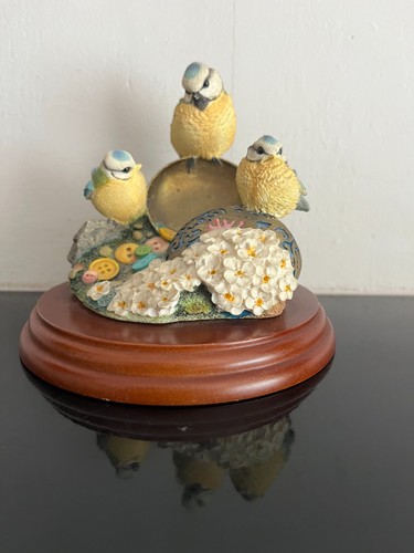 Border fine arts - border, (541710)