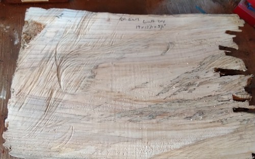 Spalted elm bowl - spalted, wood