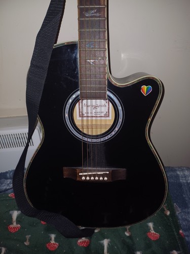 Electro accoustic guitar - electro,