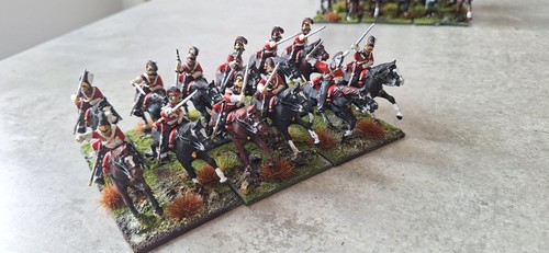 28mm napoleonic household
