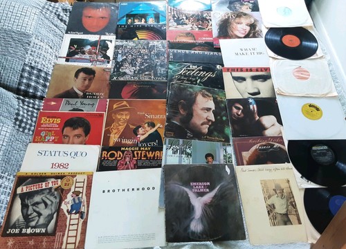 Vinyl records 33rpm albums - vinyl,