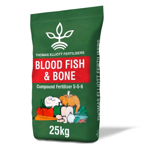 Blood fish bone organic - bone,