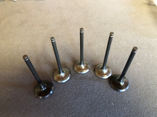 Yfz450r yfz450 titanium valves - yfz450,