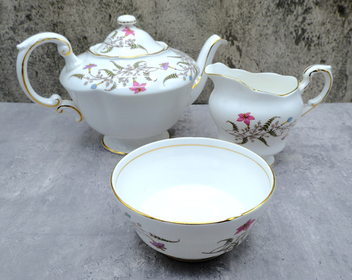 Paragon royal standard fancy - paragon,