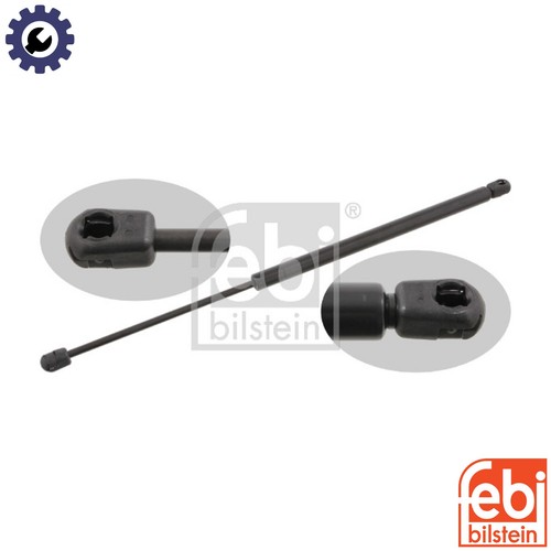 Gas spring bootcargo area - gas,