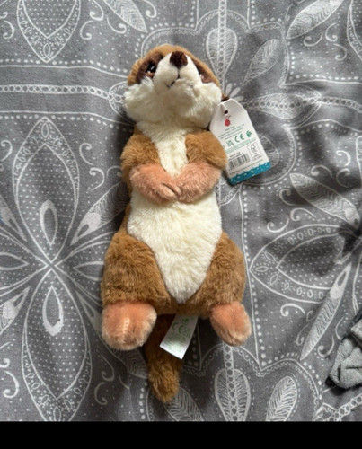 Meerkat plush soft toy - plush,