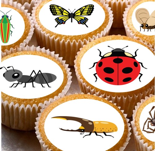 Edible insects bugs cute - insects,