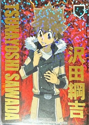 Sawada tsunayoshi b12 varier - tsunayoshi,