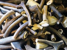 1KG. MIX OF DEER ANTLER PIECES (RANDOM SIZES)