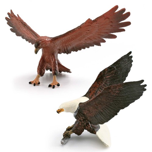 Bird model collectible - model,