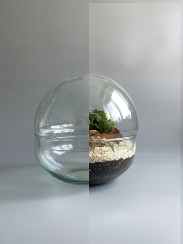 Glass bowl terrarium - bowl,