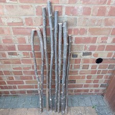 8 Seasoned Walking Stick