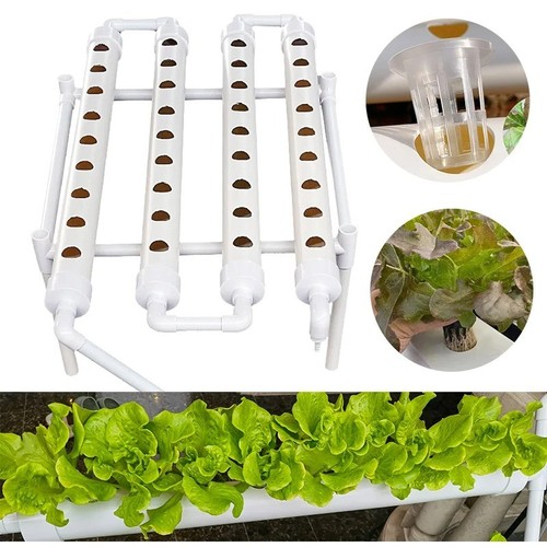 Site hydroponic growing - hydroponic,