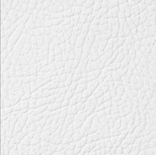 Leather Repair Paint ALL IN