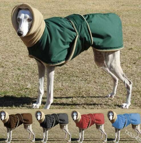 Jacket greyhound winter coat - winter,