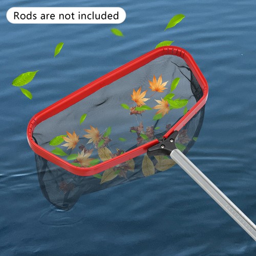 Swimming pool leaf - pool,