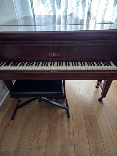 Steck baby grand piano - grand,