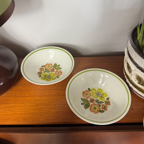 Myott ironstone ware pampas - myott,