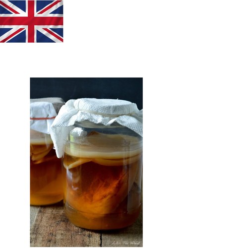 Organic kombucha scoby - kombucha,