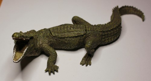 Franz bergmann crocodile with - bergmann,