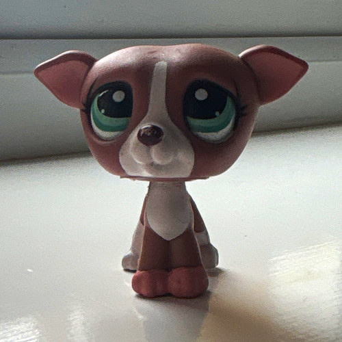 Authentic littlest pet - pet,