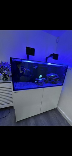 Red sea reefer 350 - (tank, &