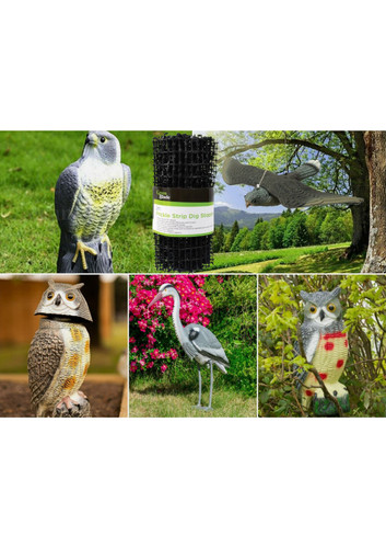 Animal deterrent garden - deterrent, pest