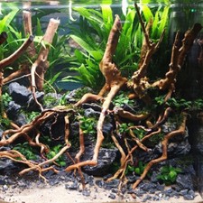 Natural Driftwood Aquarium Root Trunk Tree Fish Tank Aquarium Landscape Plant UK