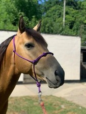 EASY-DOES-IT 4 KNOT ROPE HALTER, 9 SIZES, CLINTON, PARELLI, NATURAL HORSEMANSHIP